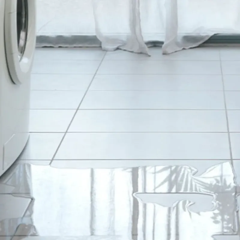 Appliance Leak Cleanup in Sioux County, IA